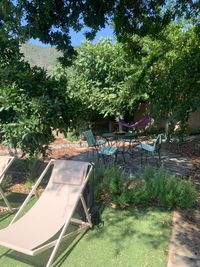jardin4